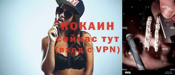ПСИЛОЦИБИНОВЫЕ ГРИБЫ Бородино