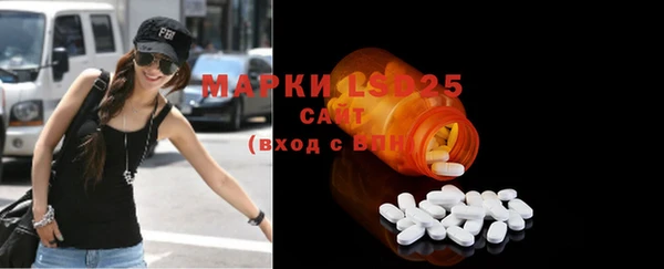 ПСИЛОЦИБИНОВЫЕ ГРИБЫ Бородино