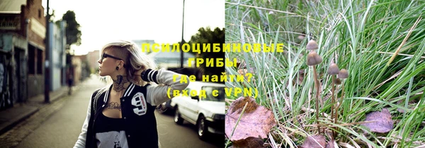 гидра Бронницы