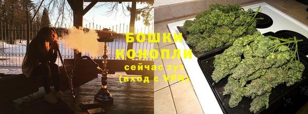 гидра Бронницы