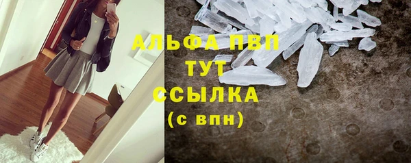 ПСИЛОЦИБИНОВЫЕ ГРИБЫ Бородино