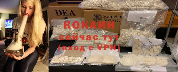 ПСИЛОЦИБИНОВЫЕ ГРИБЫ Бородино