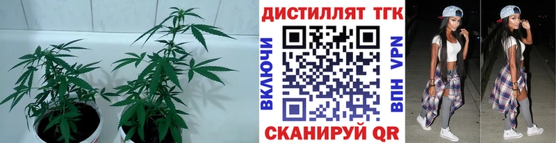 сайты даркнета клад  Горно-Алтайск  Дистиллят ТГК концентрат  наркота 