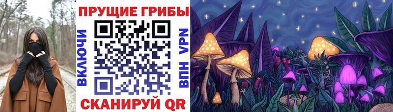 цена наркотик  Горно-Алтайск  Галлюциногенные грибы Magic Shrooms 